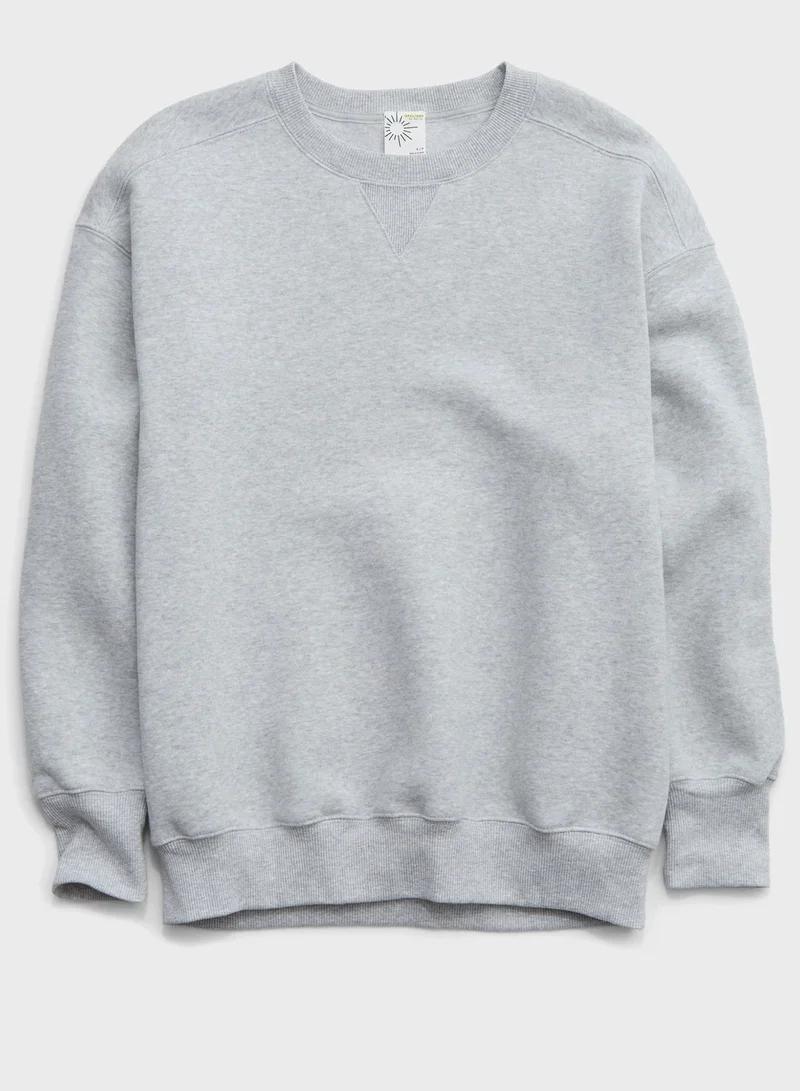 Aerie Crew Neck Sweatshirt