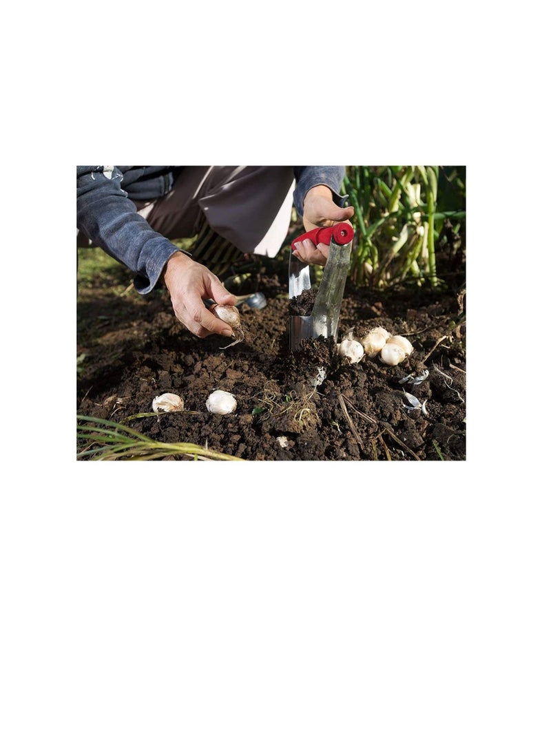 بيورول أداة زرع لمبة زرع الحدائق من Beorol أداة زراعة الشتلات الزراعية أداة زراعة النباتات للمزارع - Image 2