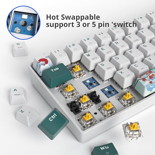 surmen Wireless 65% Mechanical Keyboard Hot Swappable, 68 Keys Bluetooth Gaming Keyboard with Quiet Linear Yellow Switch for PC Mac Gamer(Gateron Yellow, Forest 68) - Image 3