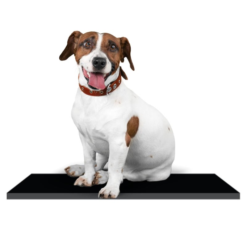 Elysian Dog Mat for Home and Outdoor 100% Waterproof and Reusable| Rubber Sheet for Dogs and Cat Easy to Carry Material Size -(6mm) 100X60CM - Image 1