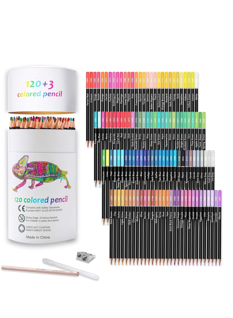 Premium Colored Pencils,Set of 120 Colors,Artists Soft Core with Vibrant Color,Ideal for Drawing Sketching Shading,Coloring Pencils Adults Beginners kids - Image 1