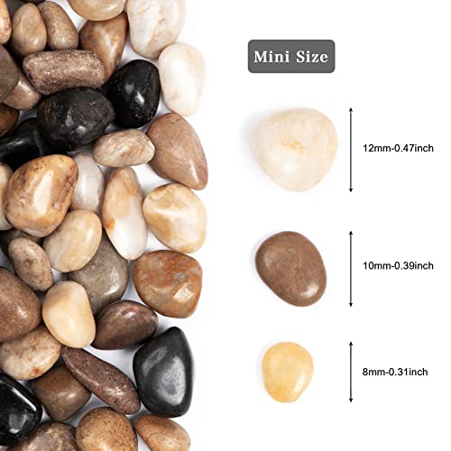 Ausluru 11lbs Natural River Rocks, Polished Pebbles for Plants Garden, 0.3-0.8 inch Decorative Peach Stones, Ideal for Fish Tank, Vases, Crafting, Home Decor and Garden Landscaping Rocks,Mix - Image 3
