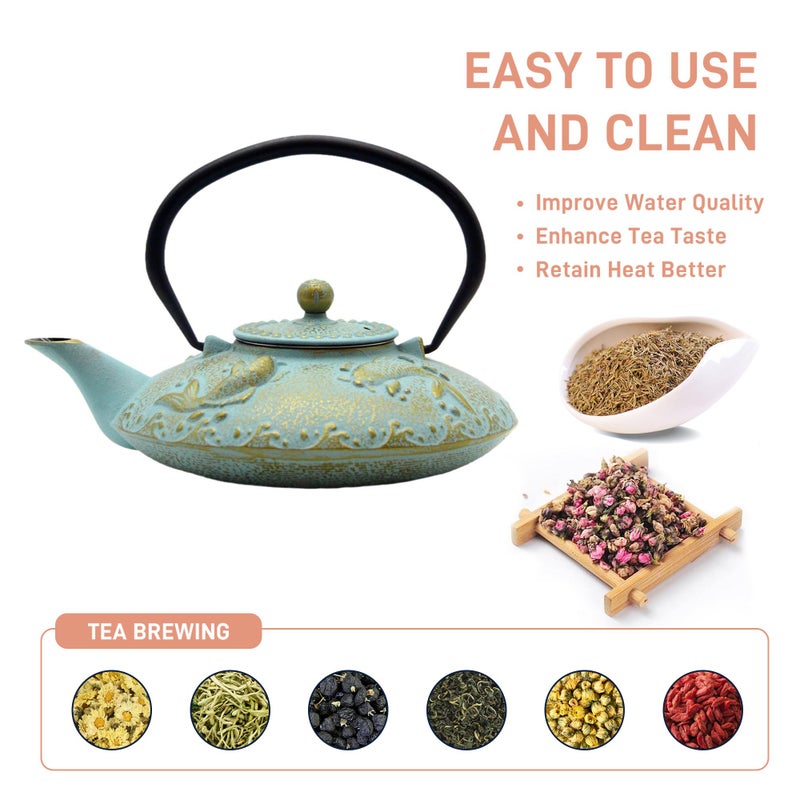 SECHUDO 27.1oz Small Cast Iron Teapot, SECHUDO Japanese Style Tea Kettle Coated with Enameled Interior for Stovetop Safe,Cast Iron Tea Pot with Stainless Steel Strainer for Loose Leaf,Flat Fish Pattern(800ml) - Image 3