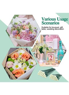 Aikanbo 20Pcs Floral Water Tubes Green Floral Tubes Plastic Flower Tubes for Fresh Flowers with Rubber Cap for Flower Stem Arrangements Supplies（Long 30cm*10pcs，Long 15cm*10pcs  - Image 5