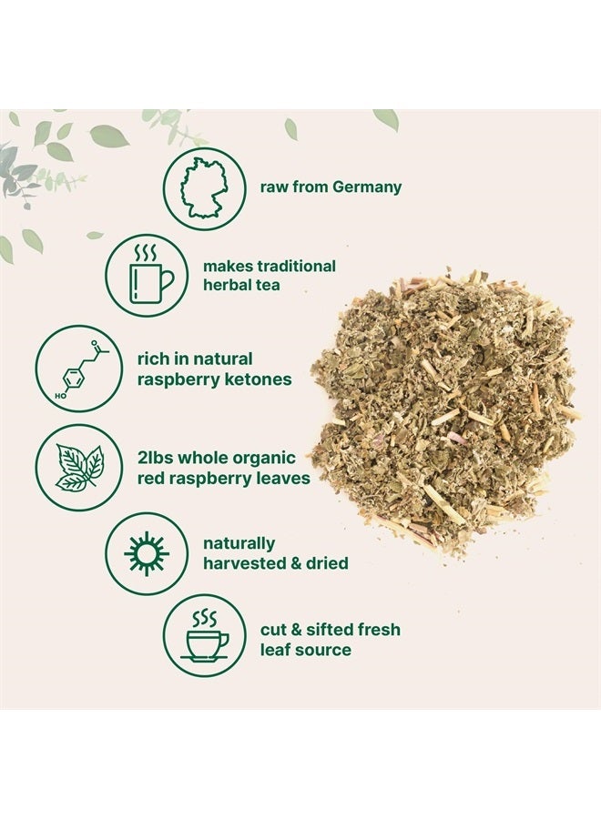 Micro Ingredients شاي أوراق التوت الأحمر المجفف العضوي، 2 رطل | تعبئة تصل إلى 907 كيس شاي | مصدر متميز من ألمانيا لشاي الأعشاب للحمل | أوراق كاملة مقطعة ومصفاة | غير معدلة وراثيًا، بدون سكر، أكياس صديقة للبيئة قابلة لإعادة التدوير - Image 3