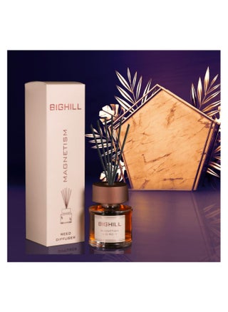 Bighill Reed Diffuser Perfumed magetism  Diffuser 120ml - pzsku/ZC21F957F80538C30E90BZ/45/_/1729157744/09350c53-8973-4d11-8739-c54a6a4be0ac