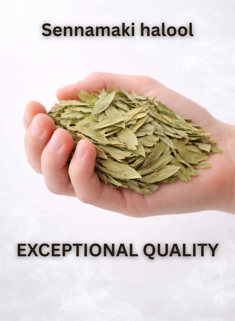Zahr Sennamaki Halool Dried Leaves – 100% Natural Senna (Cassia Angustifolia) | Premium Herbal Botanical Plant for Traditional Herbal & Gardening Use - Image 3