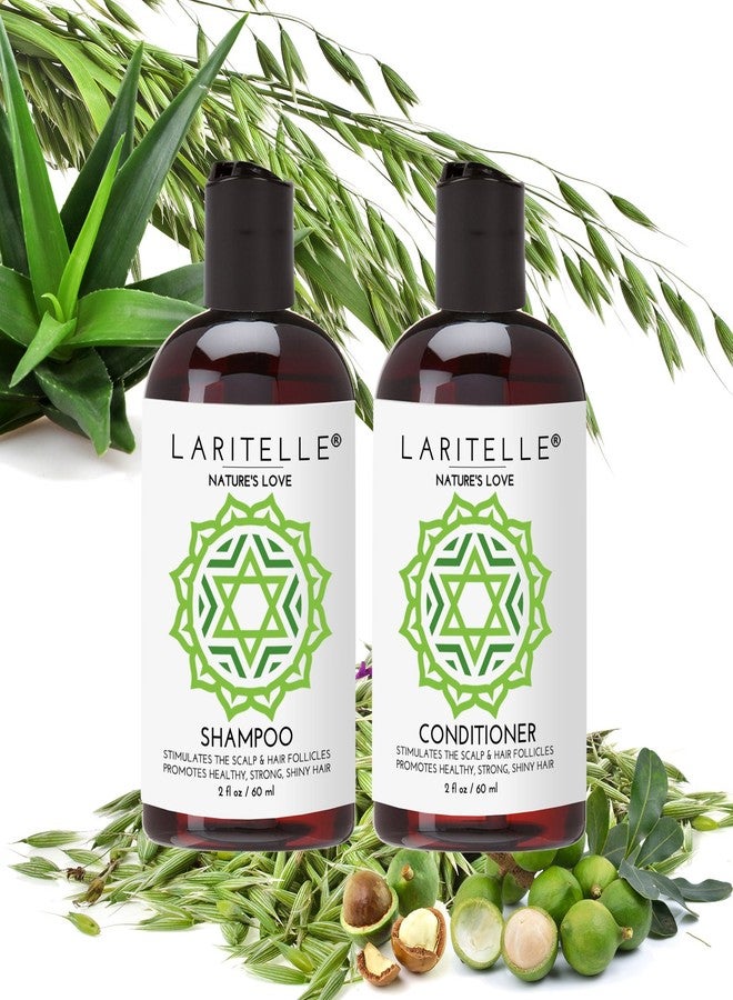 Laritelle Organic Travel Size Shampoo 2 oz + Travel Size Conditioner 2 oz | Organic Quinoa + Keratin + Follicle Stimulating Rosemary, Ginger & Grapefruit | NO GMO. Vegan - Image 2