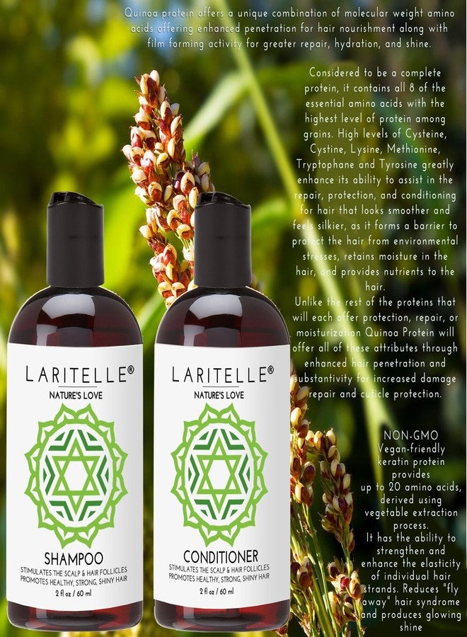 Laritelle Organic Travel Size Shampoo 2 oz + Travel Size Conditioner 2 oz | Organic Quinoa + Keratin + Follicle Stimulating Rosemary, Ginger & Grapefruit | NO GMO. Vegan - Image 3