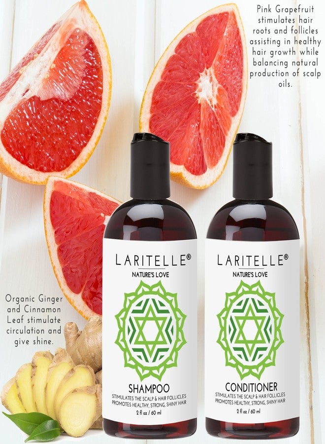 Laritelle Organic Travel Size Shampoo 2 oz + Travel Size Conditioner 2 oz | Organic Quinoa + Keratin + Follicle Stimulating Rosemary, Ginger & Grapefruit | NO GMO. Vegan - Image 4