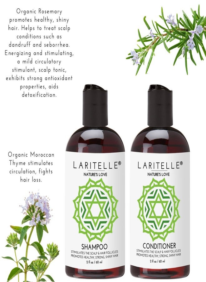 Laritelle Organic Travel Size Shampoo 2 oz + Travel Size Conditioner 2 oz | Organic Quinoa + Keratin + Follicle Stimulating Rosemary, Ginger & Grapefruit | NO GMO. Vegan - Image 5