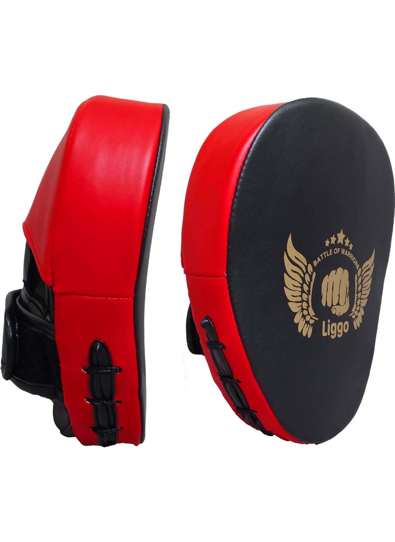 Liggo Strike Boxing Poultice Double Handle Boxing Poultice Boxing Poultice Kick Boxing Muay Thai Strike Poultice  - Image 1