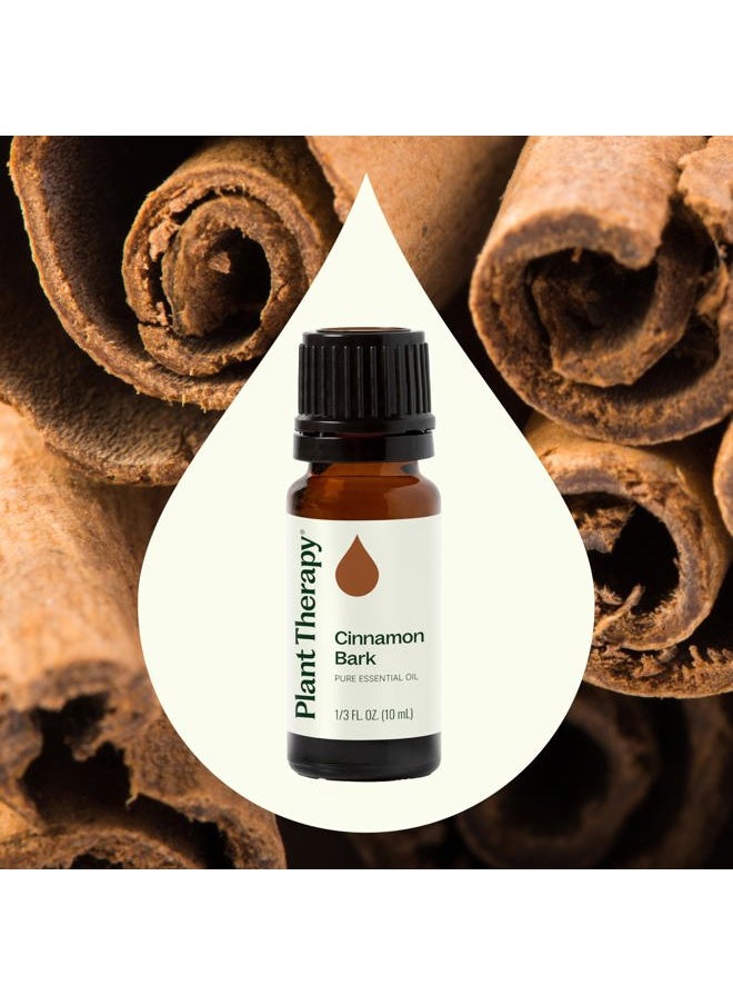 Plant Therapy Cinnamon Bark Essential Oil 10 mL (1/3 oz) 100% Pure, Undiluted, Cinnamon Oil for Diffuser, Spray, Candle Making, Spicy, Sweet Scent, Therapeutic Grade  - Image 3