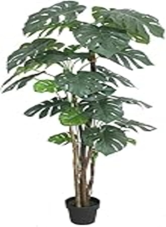 Garden Hub Artificial Deluxe Monstera Plants/Tree for Home Decoration/ Living Room/ Office Big/Medium Size with Pot (5.6ft Height)