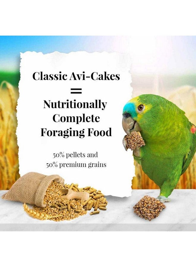 لافيبيرز طعام الطيور الأليفة الكلاسيكي Avi-Cakes من LAFEBER'S، مصنوع من مكونات غير معدلة وراثيًا ومناسبة للبشر، للببغاوات (عبوة من قطعتين، 12 أونصة) - Image 2