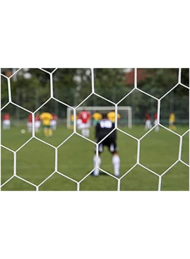 TA SPORT Fb Net Pair Dim Mtr1.5X1 Depth Cm60X60 Hex Mesh Wh @Fs - Image 2