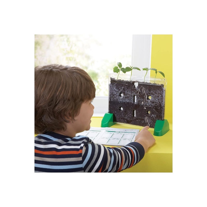 Educational Insights Educational Insights Sprout & Grow Window Plant Growing Kit, Science Kit for Homeschool & Classrooms, Ages 5+  - Image 2
