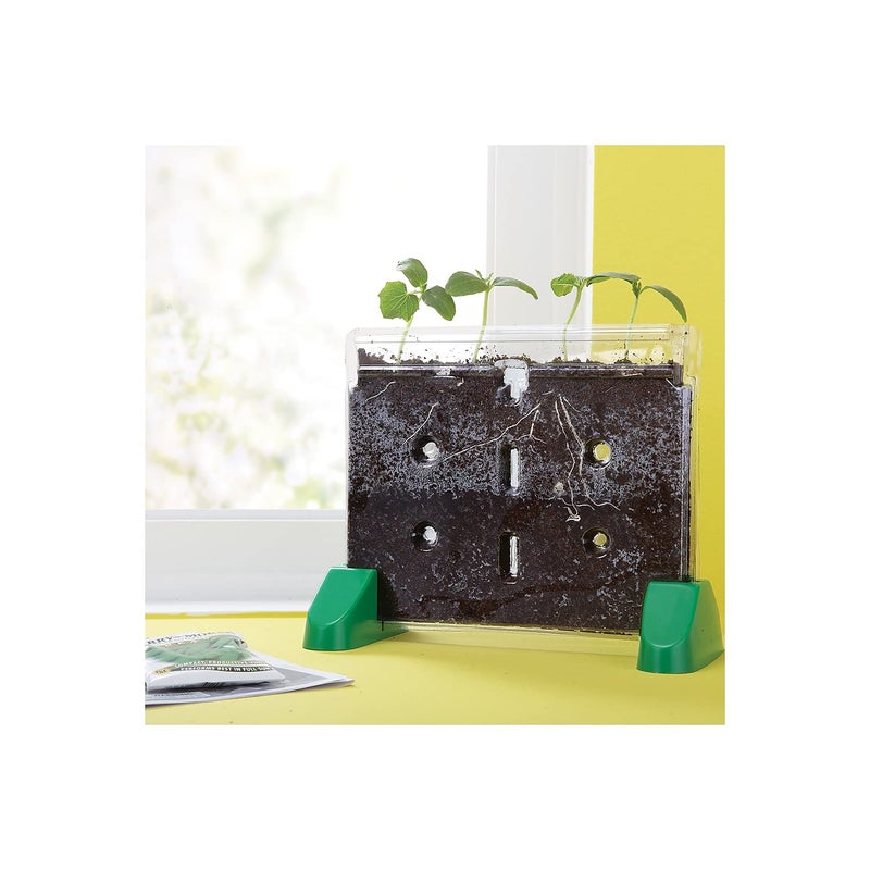 Educational Insights Educational Insights Sprout & Grow Window Plant Growing Kit, Science Kit for Homeschool & Classrooms, Ages 5+  - Image 3
