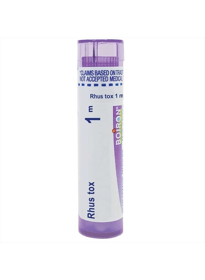 Boiron Rhus Toxicodendron 1M Md 80 Pellets for Joint Pain Improved by Motion - Image 1