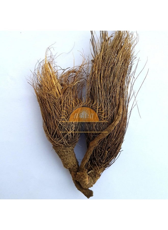 SriSatymev SriSatymev Bhoot Kesari 100g | Bhoot Keshri | Beg Kharfas  - Image 1