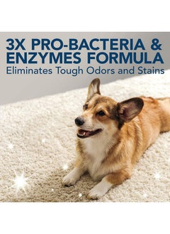 Simple Solution Simple Solution Dog Extreme Stain & Odour Remover,3X Cleaning Power,Eliminates Tough Set In Stains & Odours,Helps Prevent Repeat Marking,Enzymes Formula,Best For Feces,Vomit,Urine,Drool 500 Ml  - Image 2
