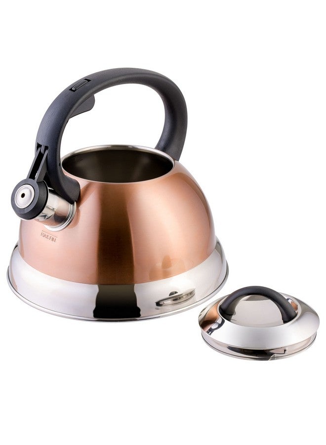 Mr. coffee غلاية شاي مستر كوفي فلينتشاير من الفولاذ المقاوم للصدأ مع مقبض نايلون، سعة 1.75 لتر، نحاسية - Image 3