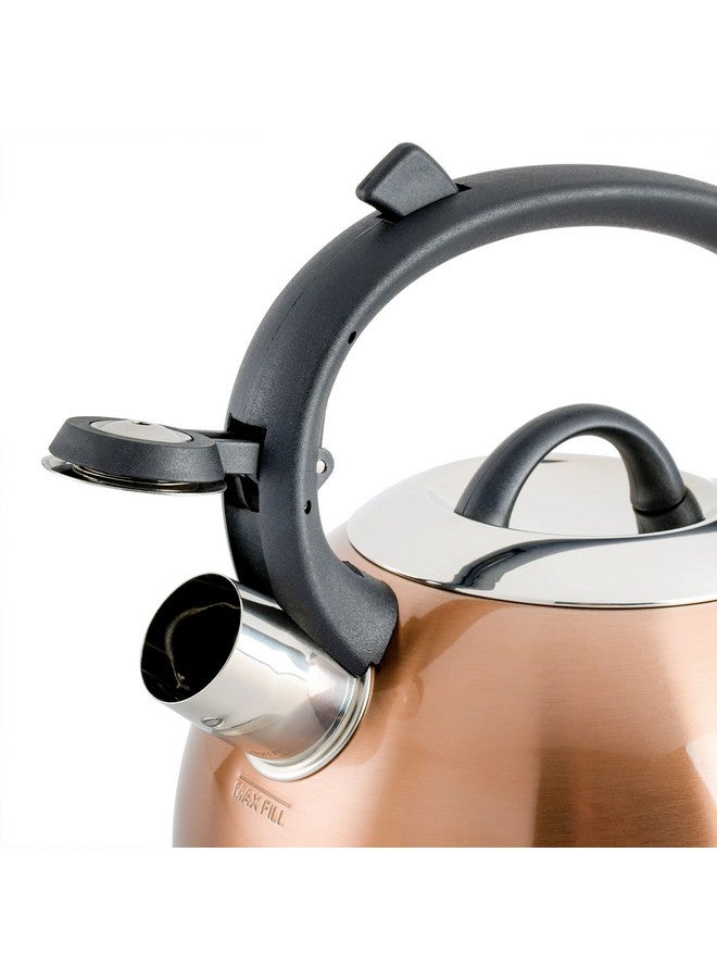 Mr. coffee غلاية شاي مستر كوفي فلينتشاير من الفولاذ المقاوم للصدأ مع مقبض نايلون، سعة 1.75 لتر، نحاسية - Image 2