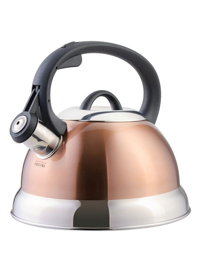 Mr. coffee غلاية شاي مستر كوفي فلينتشاير من الفولاذ المقاوم للصدأ مع مقبض نايلون، سعة 1.75 لتر، نحاسية - Image 1