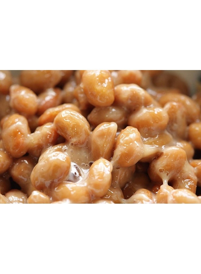 K-Herb Soybean Natto Powder 100% Natural Nattokinase Freeze-Dried Fermented Food Vitamin K2 10.6 oz(300g) (1 Pack) - Image 4