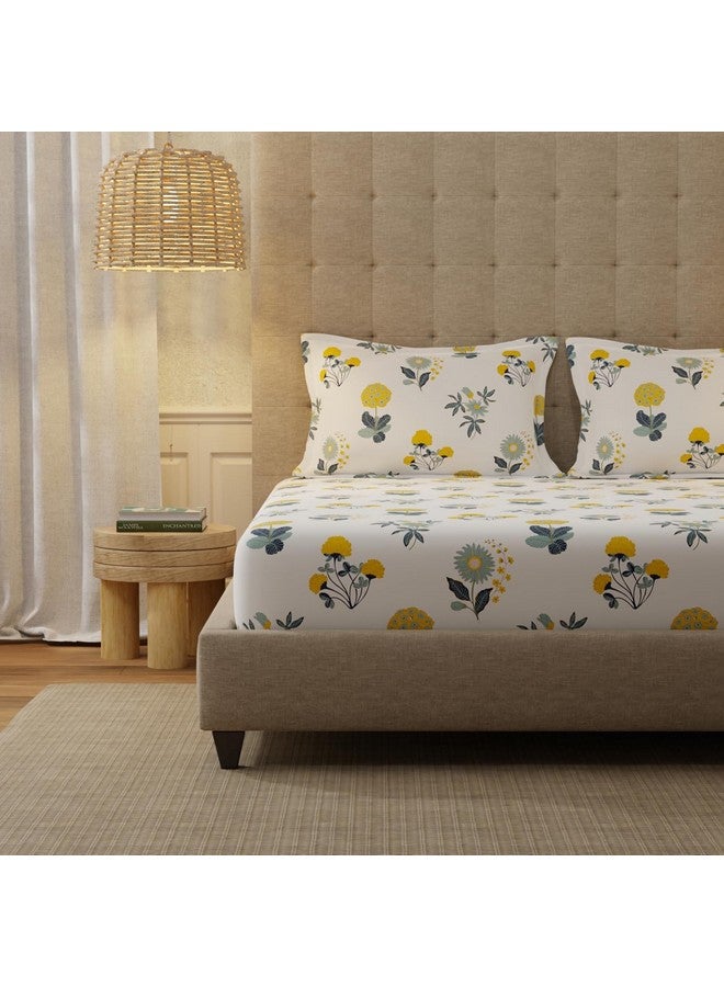 Urban Space Serene 200 TC 100% Cotton Bedsheet for Double Bed, Queen Size, with 2 Pillow Covers (Radiance White, Size 88 x 100 inches) - Image 1