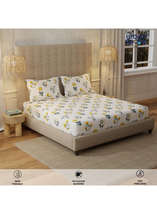 Urban Space Serene 200 TC 100% Cotton Bedsheet for Double Bed, Queen Size, with 2 Pillow Covers (Radiance White, Size 88 x 100 inches) - Image 3