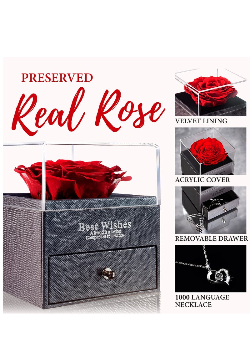 Generic Daytoyz Eternal Preserved Real Rose with Necklace in Gift Box - Infinity Fresh Beauty Rose for Women, Wife, Girlfriend, Mom - Romantic Valentine's Day, Anniversary, Birthday Gift  - Image 2