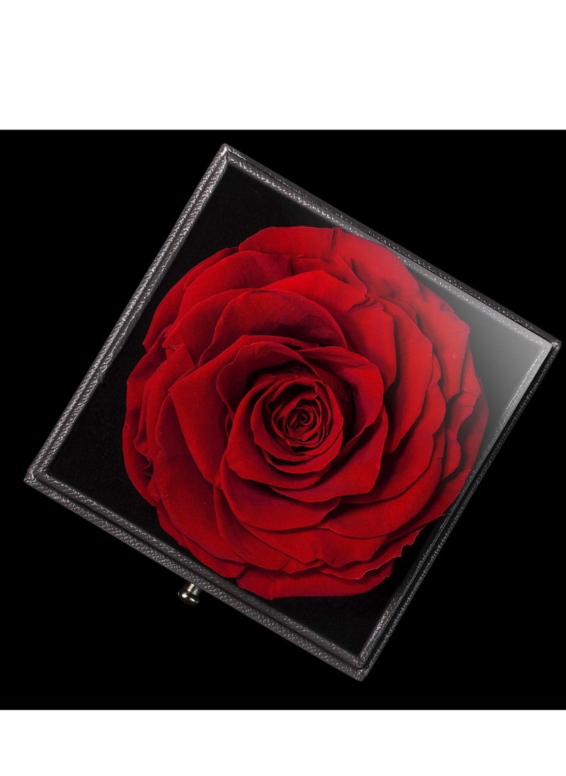 Generic Daytoyz Eternal Preserved Real Rose with Necklace in Gift Box - Infinity Fresh Beauty Rose for Women, Wife, Girlfriend, Mom - Romantic Valentine's Day, Anniversary, Birthday Gift  - Image 4