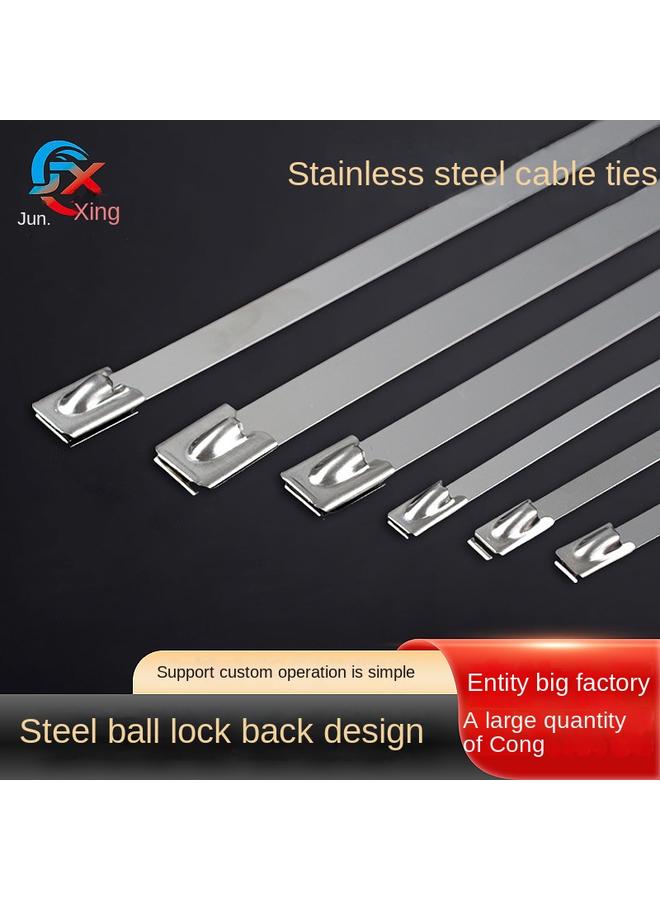 Bluejw 304 Stainless Steel Tie Metal Cable Tie With Wire And Cable Marine Self-locking Tie 4.6/7.9/10/12/16 - Image 2
