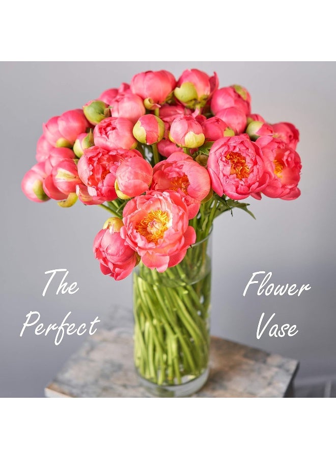 CYS Excel Clear Glass Cylinder Vase H12 D4  Multiple Size Choices Glass Flower Vase Centerpieces  Hurricane Floating Candle Holder - Image 3