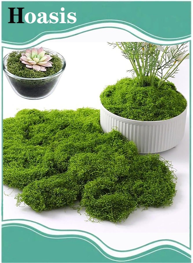 Hoasis Fake Moss,Faux for Plants Indoor Fake Green Moss for Potted Plants 3.5OZ Decor Artificial Faux Crafts Preserved DIY Decorative Table Centerpieces Decor (Dark green) - Image 1