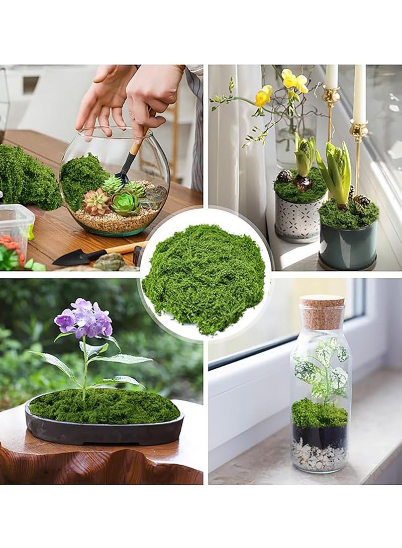 Hoasis Fake Moss,Faux for Plants Indoor Fake Green Moss for Potted Plants 3.5OZ Decor Artificial Faux Crafts Preserved DIY Decorative Table Centerpieces Decor (Dark green) - Image 5