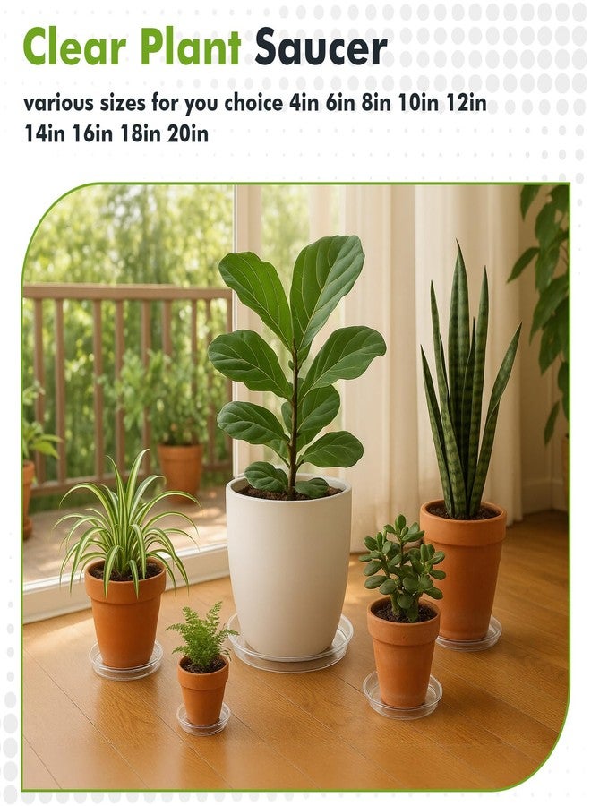 Planterhoma 30 Packs Clear Plant Saucers for Indoor Outdoor Use 4/6/8/10/12/14 Inches Heavy Duty Plastic Plant Trays for Planter Bulk Flower Pot Drip Trays to Catch Water, Round Transparent - Image 5
