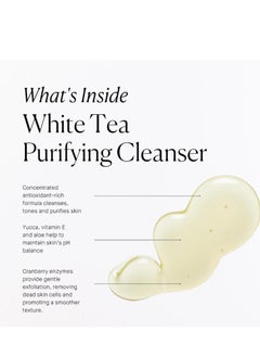 Arcona ARCONA White Tea Purifying Water Based Cleanser For Sensitive Skin - Gentle Face Wash For Women - Exfoliating Face Wash, Cranberry, Yucca, Vitamin E, Aloe - Made In The USA - 3.67oz. Made In The USA  - Image 2