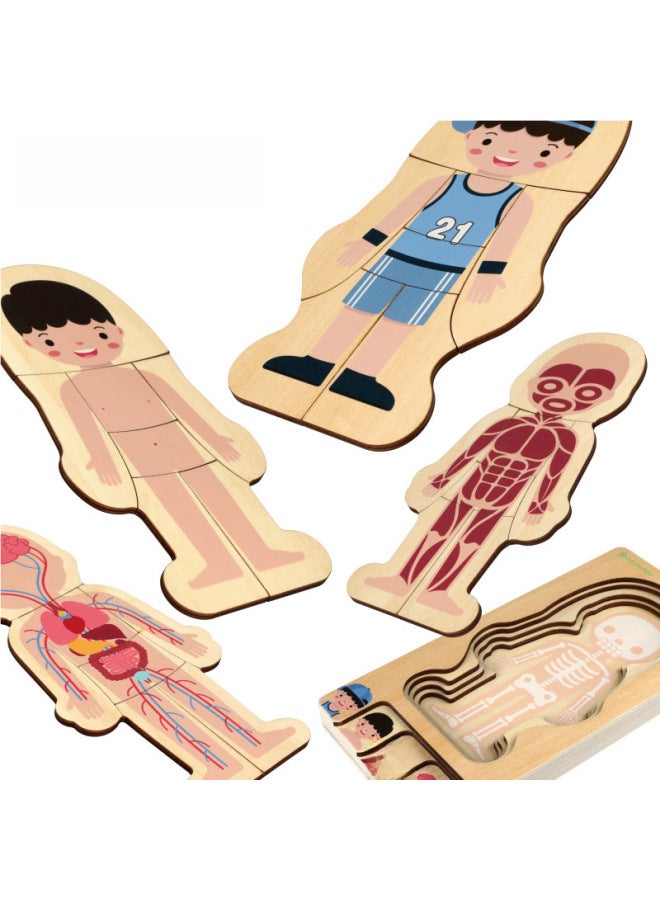 لوحة ألغاز خشبية متعددة الطبقات من GoryeoBaby للأولاد والبنات، ألغاز هيكل الجسم للأطفال، ألعاب التعليم المبكر التنوير - اللون: هيكل جسم الإنسان (فتاة) - Image 4