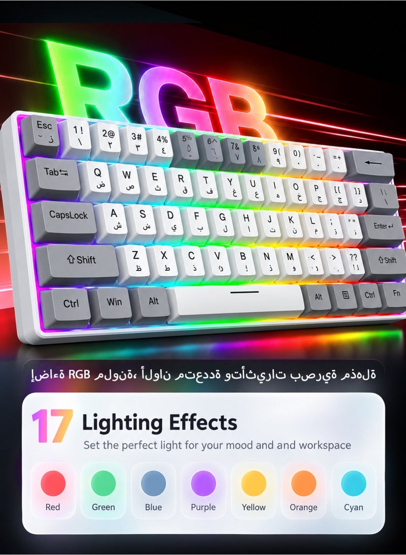 T-WOLF 61-Key RGB Mechanical Gaming Keyboard with Red Switches and 60% Compact Layout, Detachable Cable, 21-Key Anti-Ghosting, Ergonomic Design for PC and Mac Gamers - Image 2