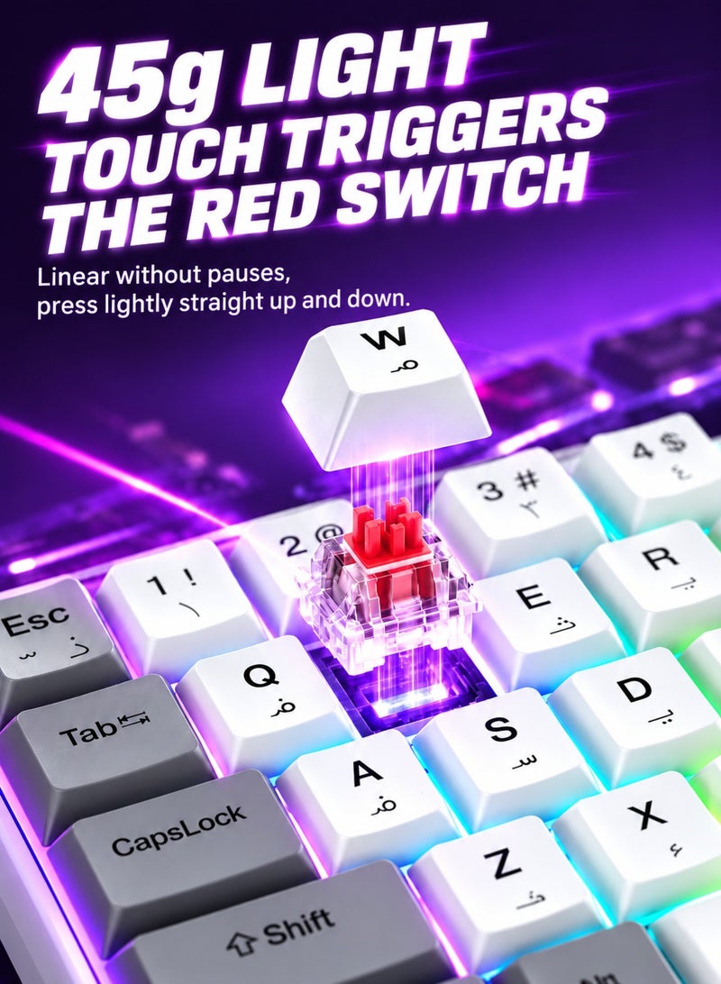 T-WOLF 61-Key RGB Mechanical Gaming Keyboard with Red Switches and 60% Compact Layout, Detachable Cable, 21-Key Anti-Ghosting, Ergonomic Design for PC and Mac Gamers - Image 4