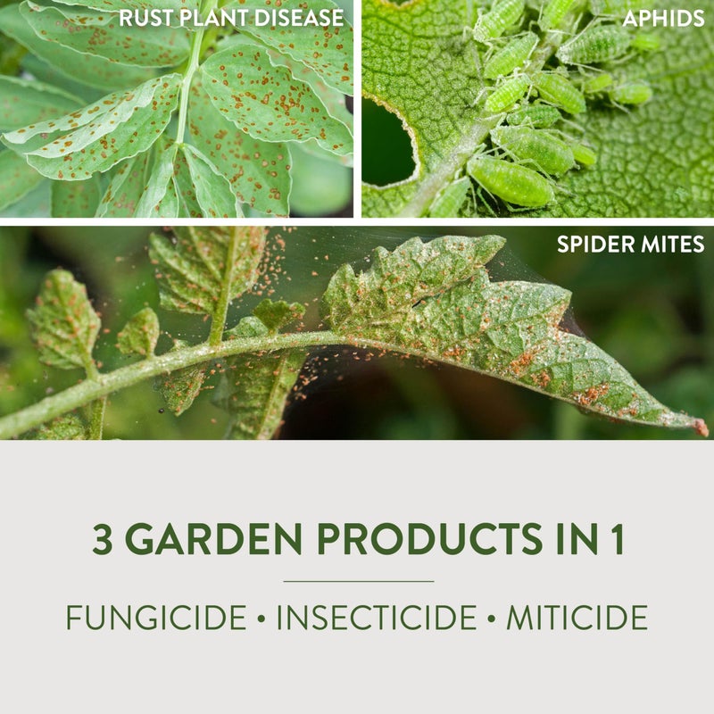 Garden Safe Fungicide 3 32 Oz. Ready to Use Trigger Spray Fungicide - 1 Each - Image 4