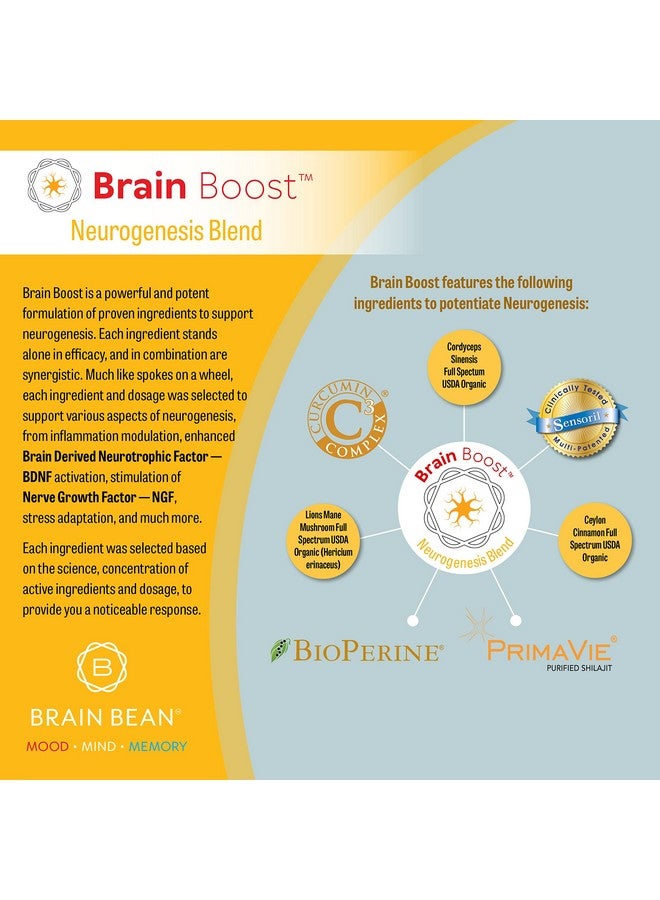 Brain-Bean Brain Bean Brain-Boost (Formerly - Image 2
