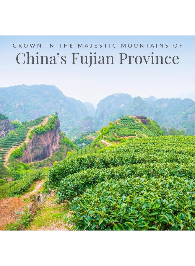 The REPUBLIC of TEA Emperor's 100% White Tea - 50 Tea Bags - Image 3