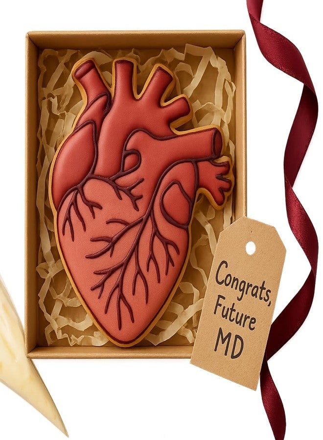 Mighty Gadget Anatomical Human Heart Cookie Cutter & Stamp - 4x3.48", Realistic Medical Design for Science Lovers (Random Color) - Image 3