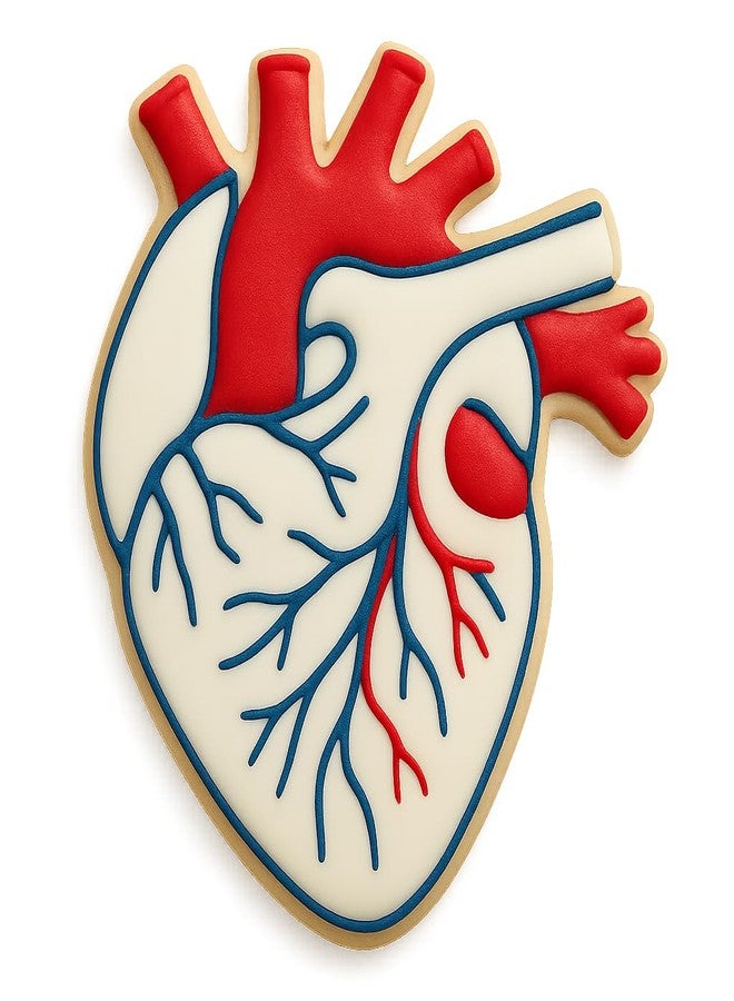 Mighty Gadget Anatomical Human Heart Cookie Cutter & Stamp - 4x3.48", Realistic Medical Design for Science Lovers (Random Color) - Image 4