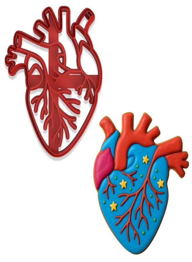 Mighty Gadget Anatomical Human Heart Cookie Cutter & Stamp - 4x3.48", Realistic Medical Design for Science Lovers (Random Color) - Image 1