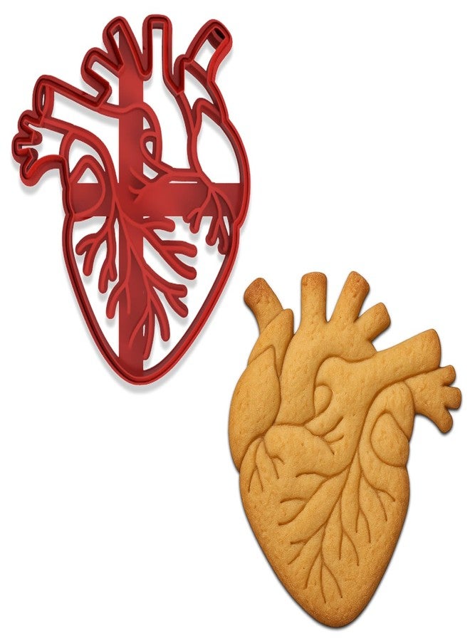 Mighty Gadget Anatomical Human Heart Cookie Cutter & Stamp - 4x3.48", Realistic Medical Design for Science Lovers (Random Color) - Image 2
