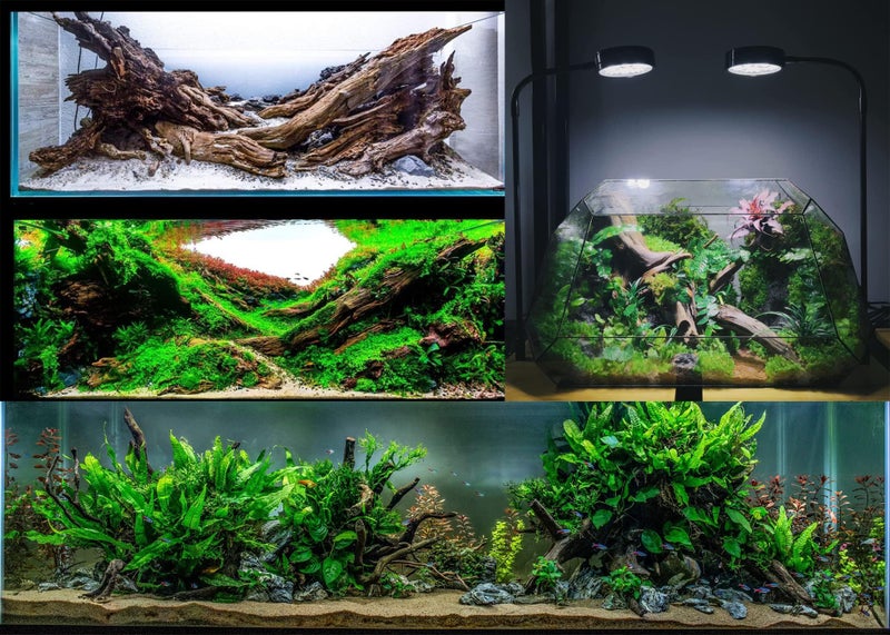 Azil Natural Driftwood 9''-12'' (2 Pieces) â€“ Perfect Aquarium Decoration for Fish Tanks, Freshwater Aquariums, Terrariums, Aquascaping, Hardscaping, Aquatic Plants - Image 5